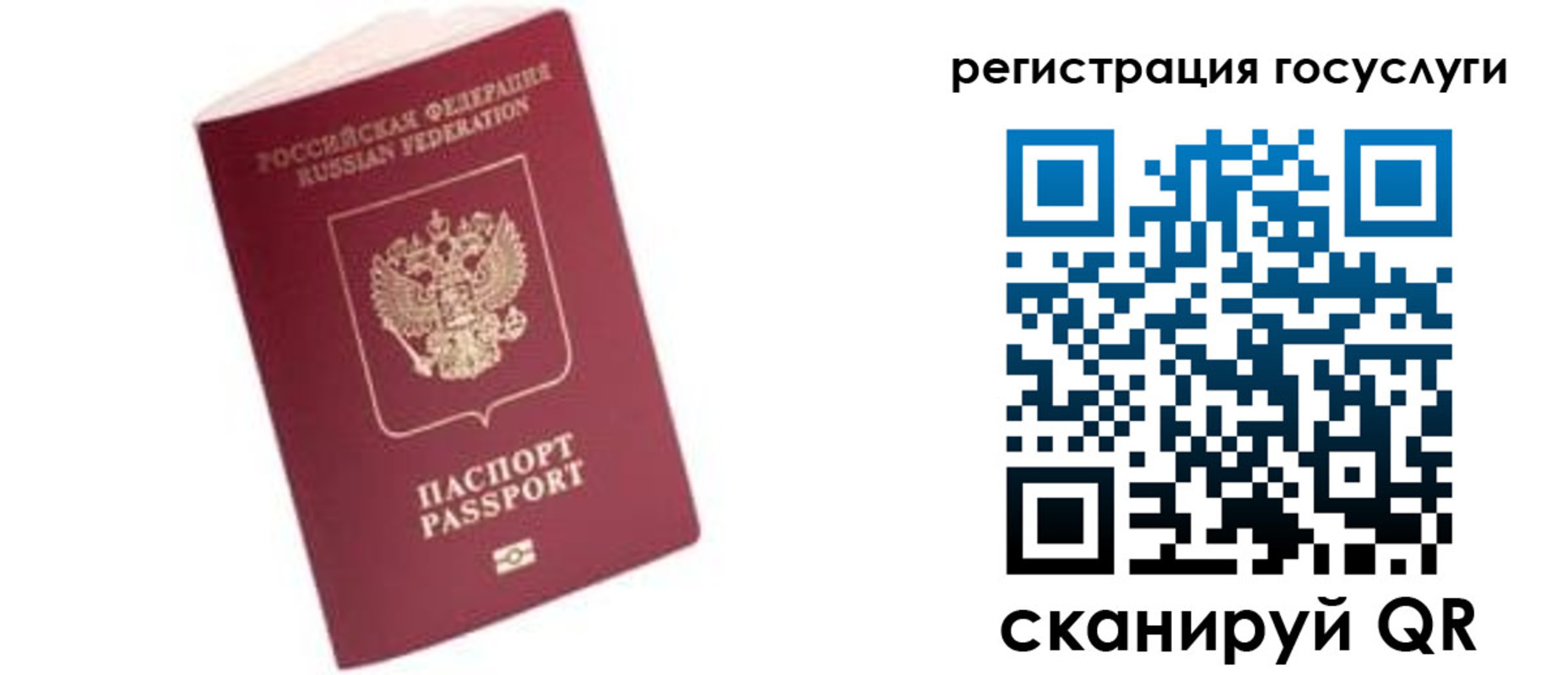прописка поиск в Белокурихе